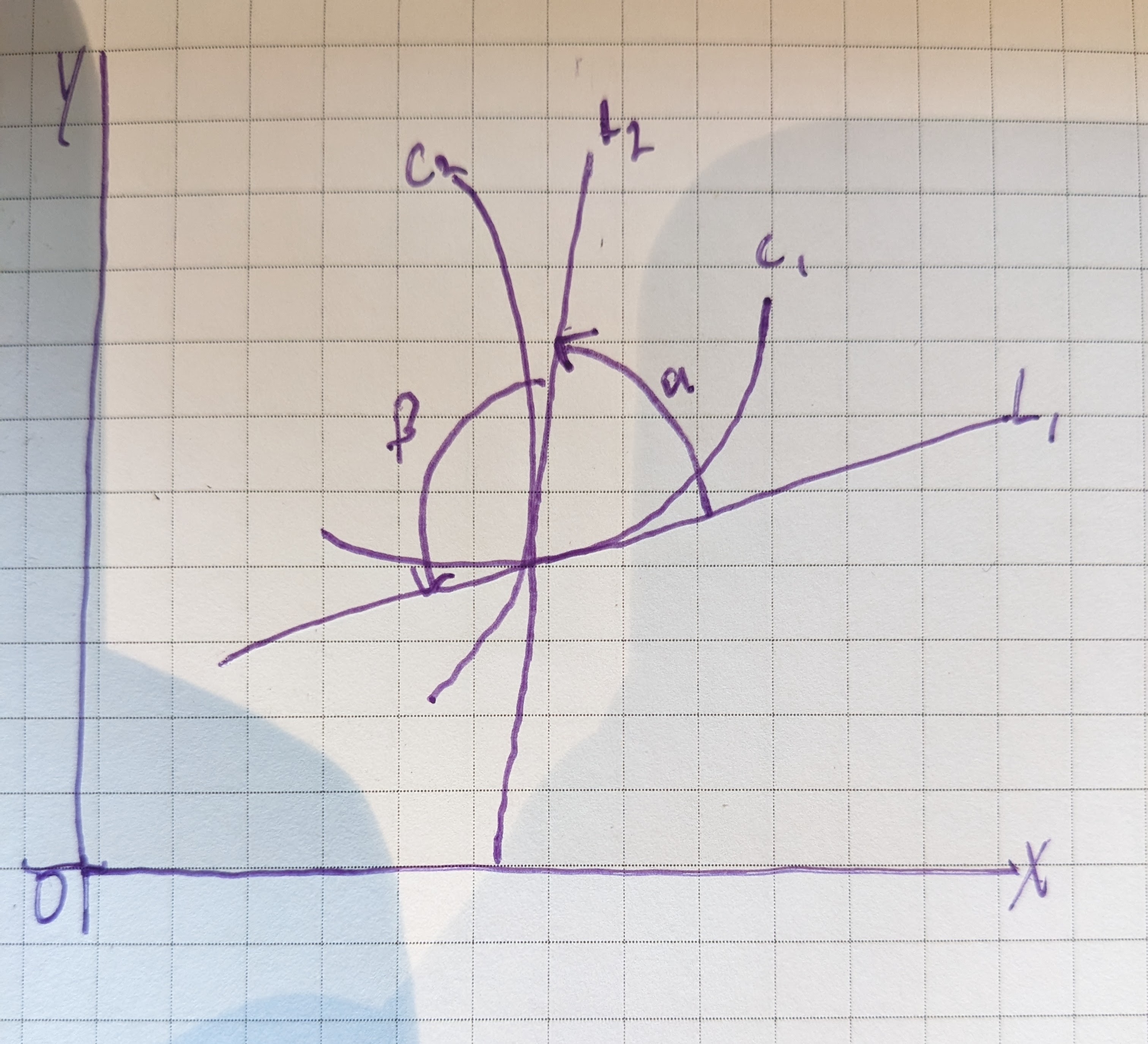 Isogonal Trajectories